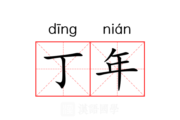 丁年