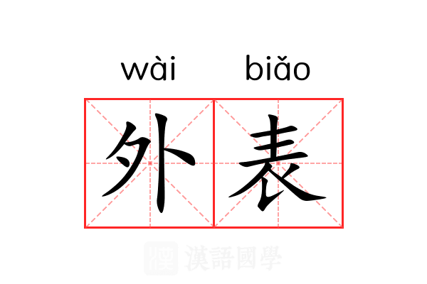 外表