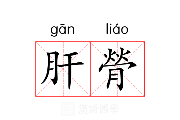肝膋