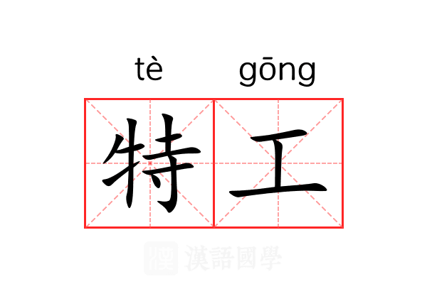 特工 特工
