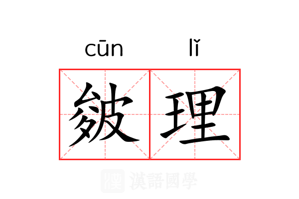 皴理