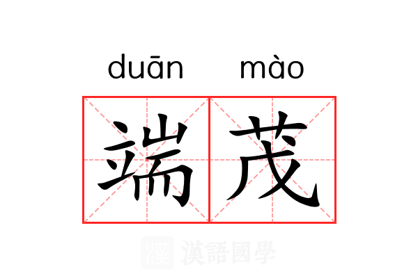 端茂