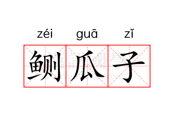 鲗瓜子