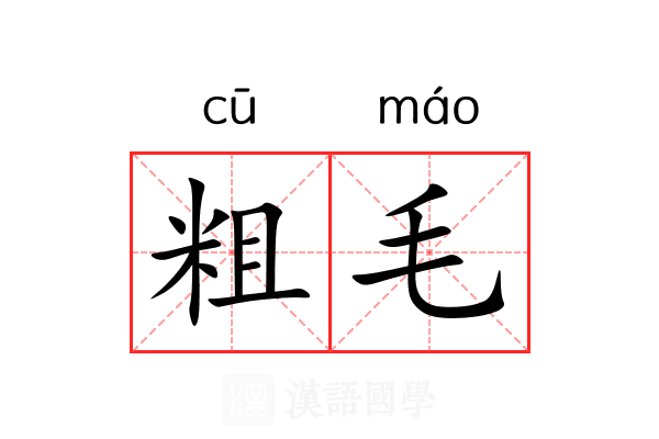 粗毛 粗毛