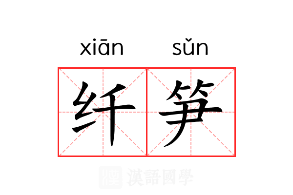 纤笋 纤笋