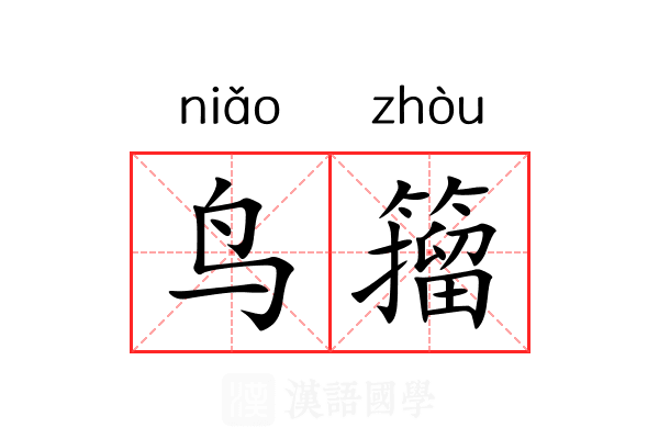 鸟籀