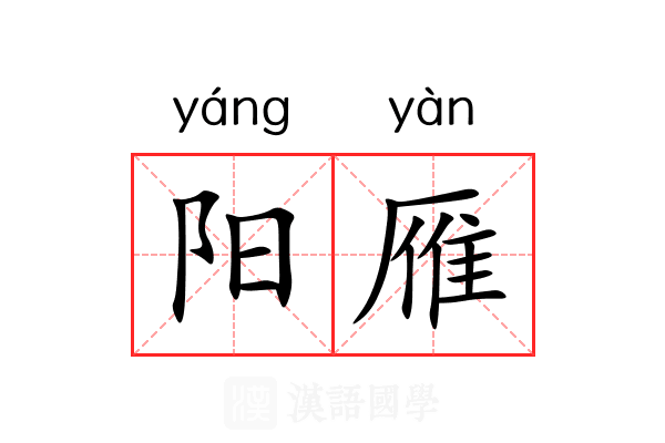 阳雁 阳雁