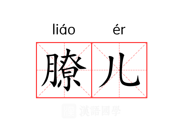 膫儿