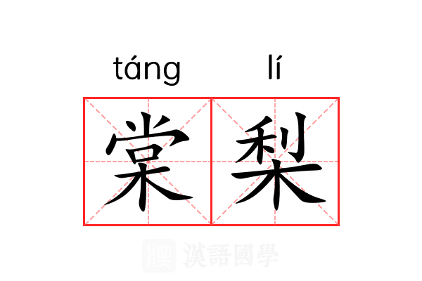 棠梨 棠梨