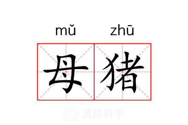 母猪