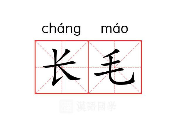 长毛 长毛