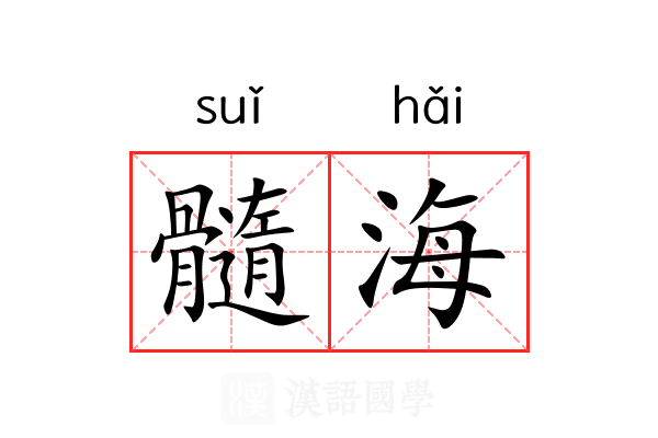 髓海