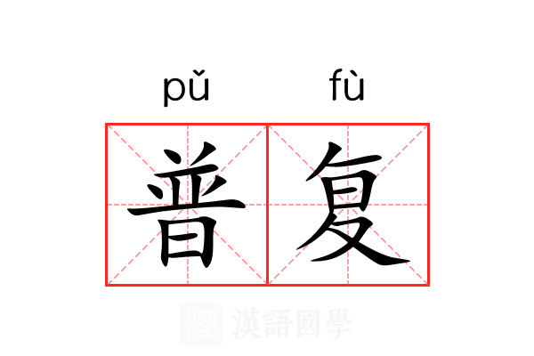 普复