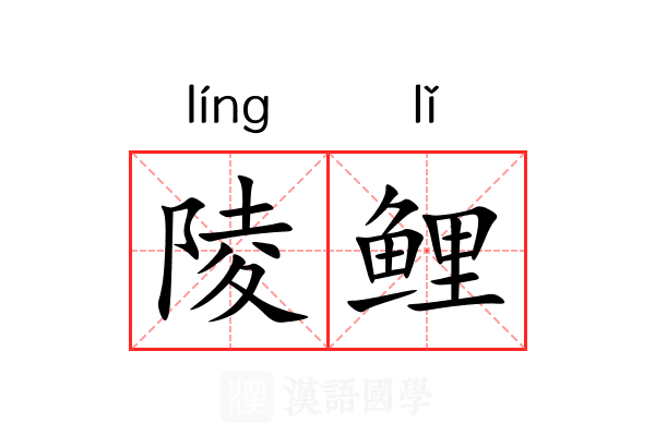 陵鲤