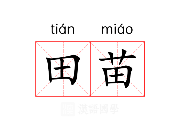 田苗 田苗