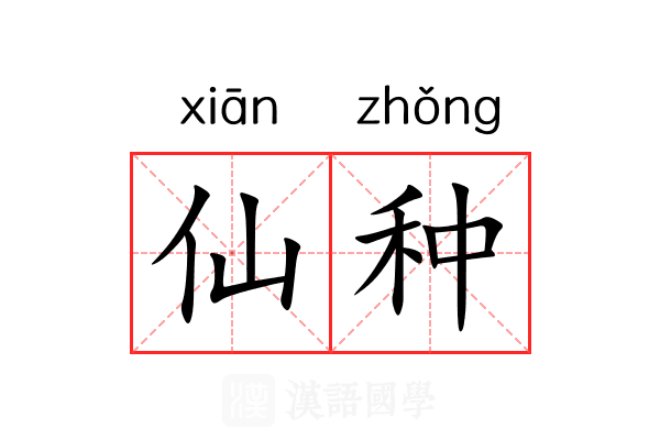 仙种 仙种