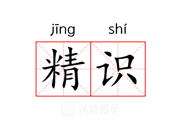 精识 精识