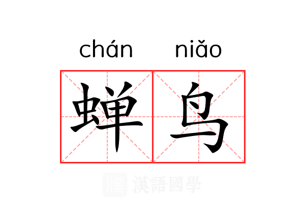 蝉鸟
