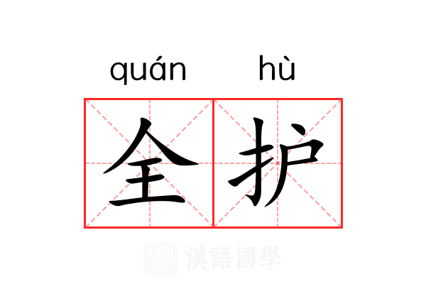 全护