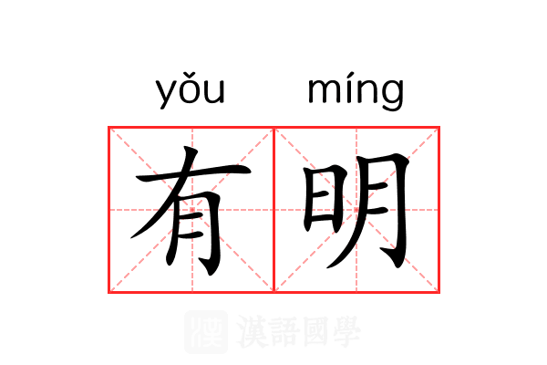 有明