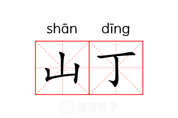 山丁 山丁