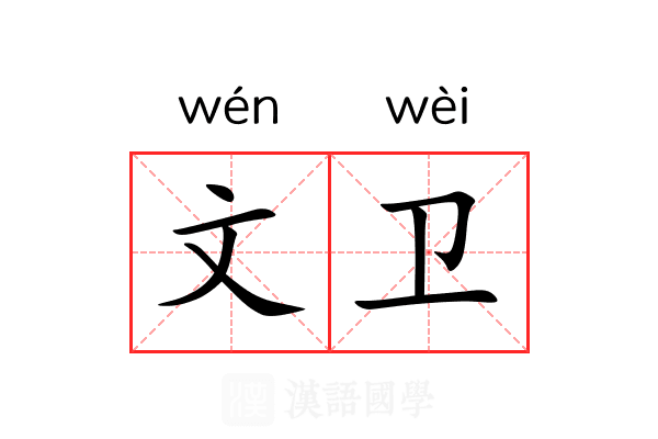 文卫 文卫