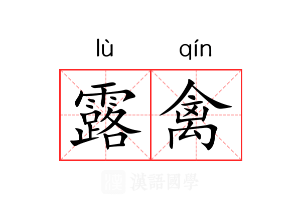 露禽