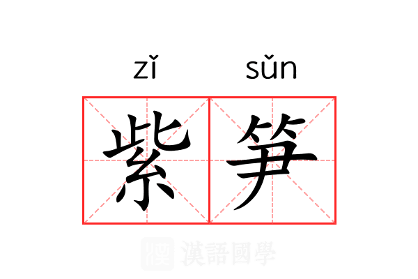 紫笋 紫笋