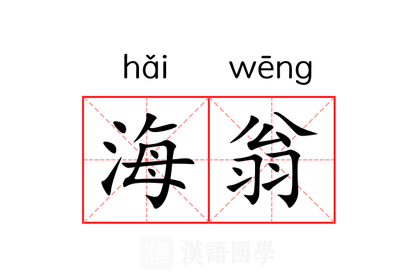 海翁 海翁