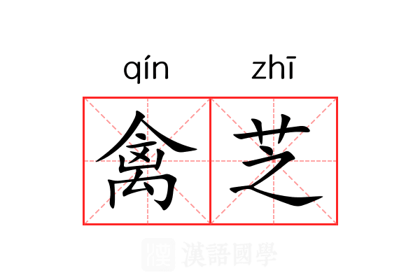 禽芝