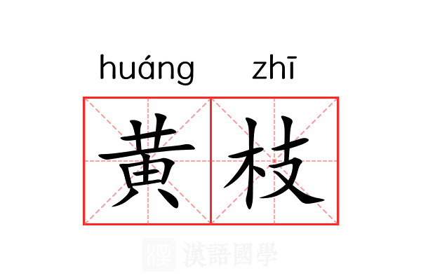 黄枝 黄枝