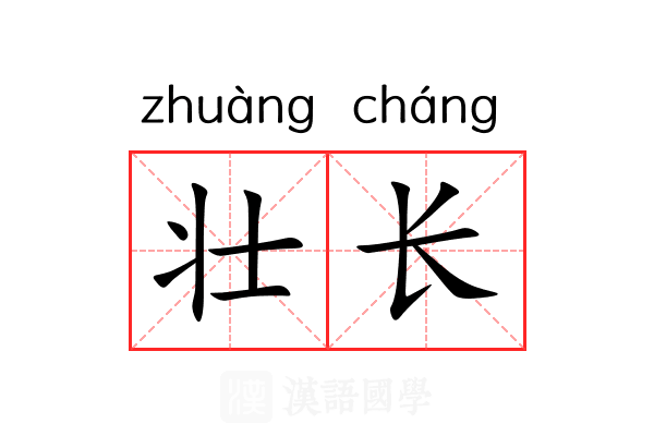 壮长 壮长