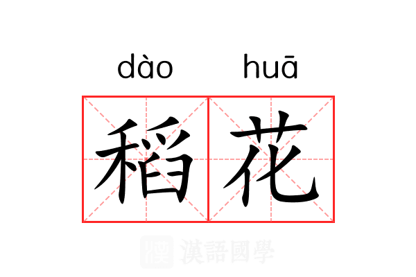 稻花 稻花