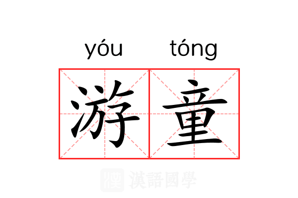 游童 游童