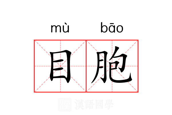 目胞 目胞