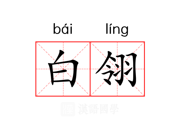 白翎