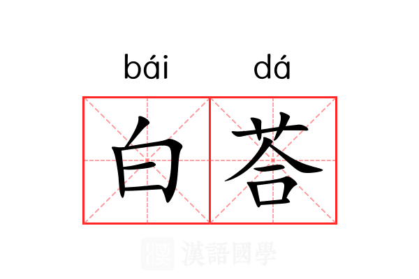 白荅 白荅