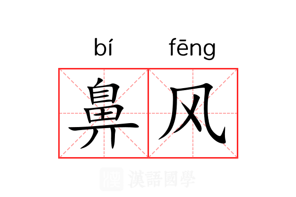 鼻风