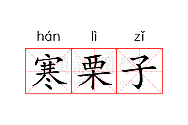 寒栗子 寒栗子