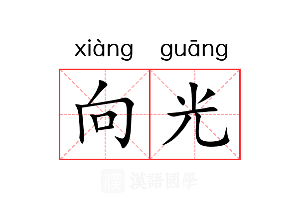 向光