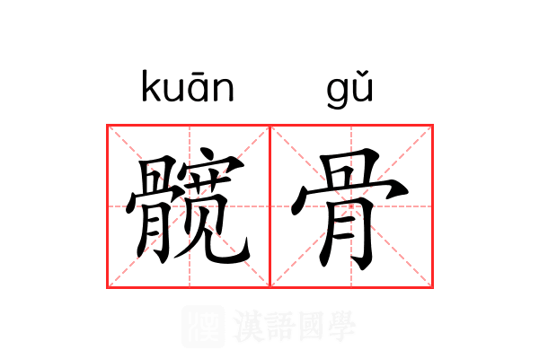 髋骨