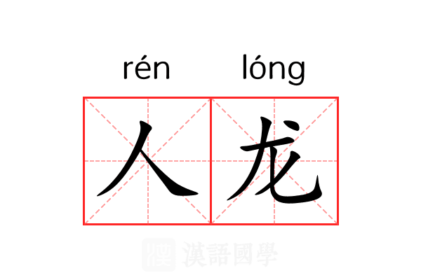 人龙 人龙