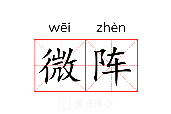 微阵 微阵