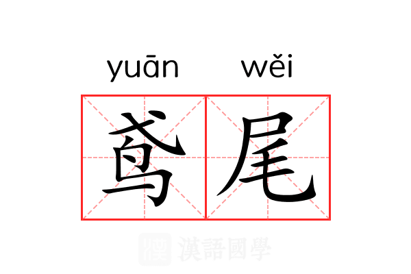 鸢尾