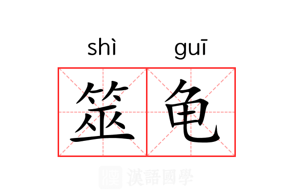 筮龟 筮龟
