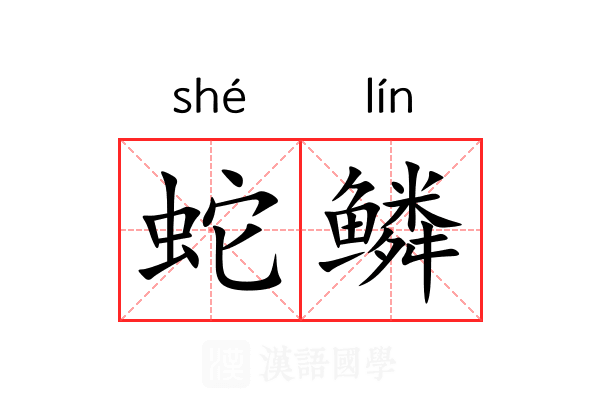 蛇鳞 蛇鳞