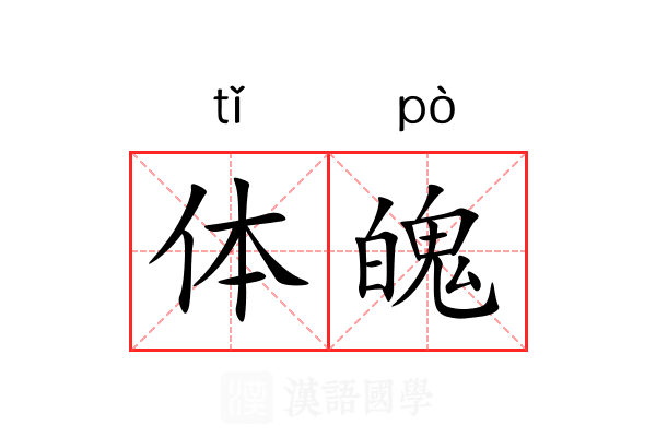 体魄 体魄