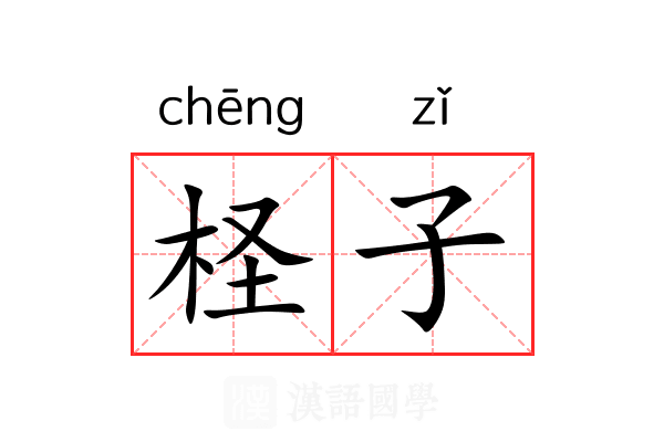柽子 柽子