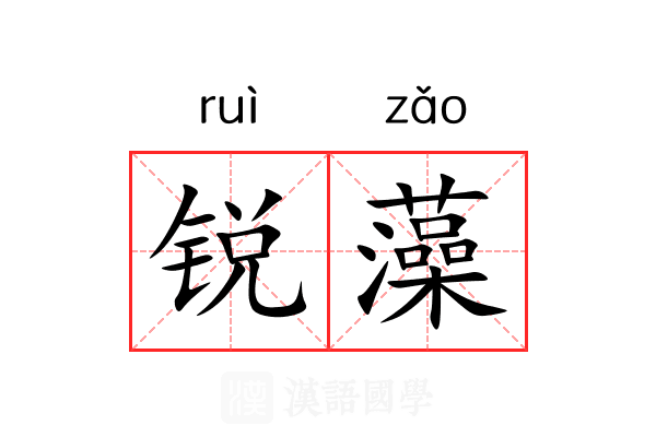 锐藻 锐藻