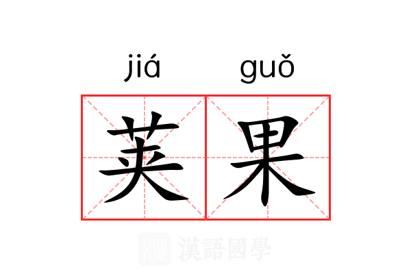荚果